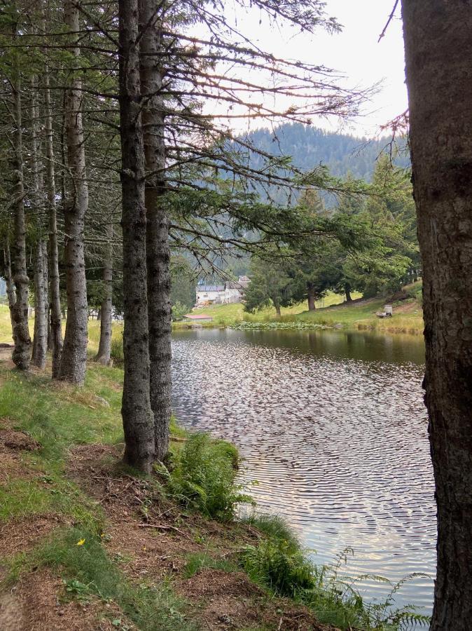 Do-Minus Boutique Home & Private Spa Ca Pedrot Mountain Cottage Monte Carasso ภายนอก รูปภาพ