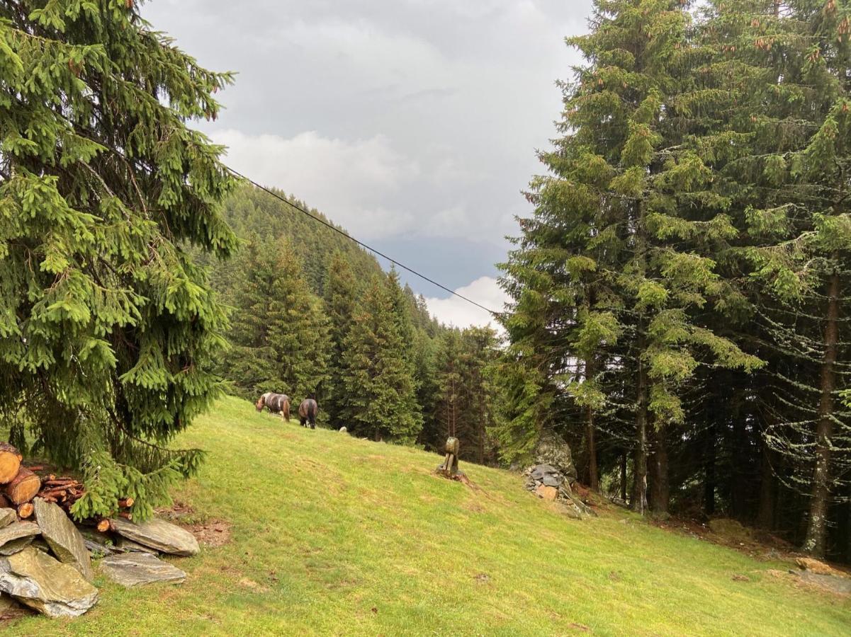 Do-Minus Boutique Home & Private Spa Ca Pedrot Mountain Cottage Monte Carasso ภายนอก รูปภาพ