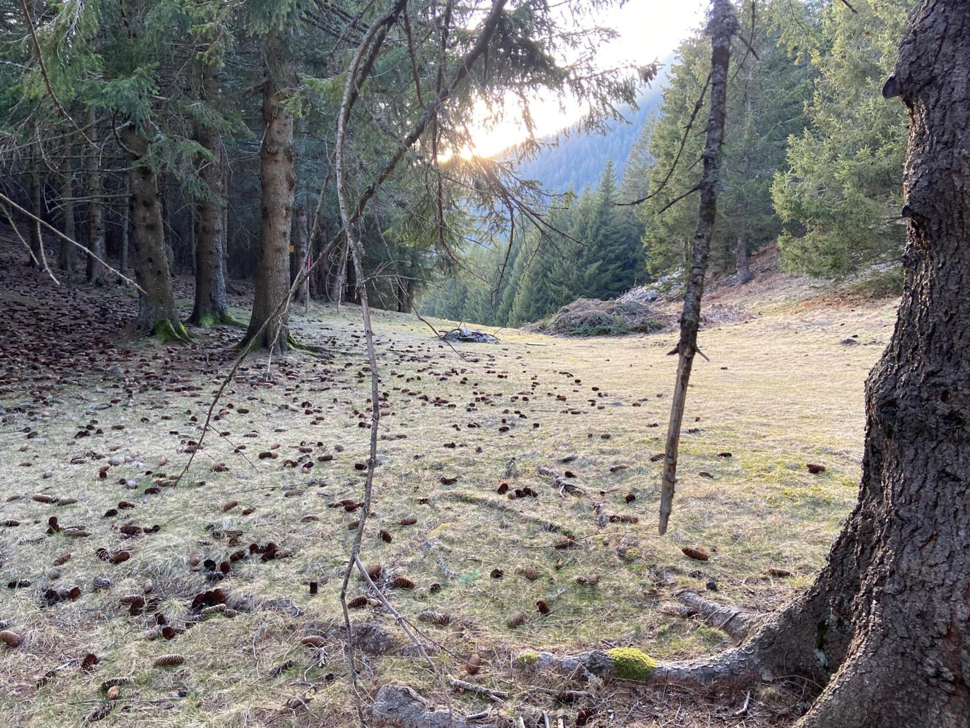 Do-Minus Boutique Home & Private Spa Ca Pedrot Mountain Cottage Monte Carasso ภายนอก รูปภาพ